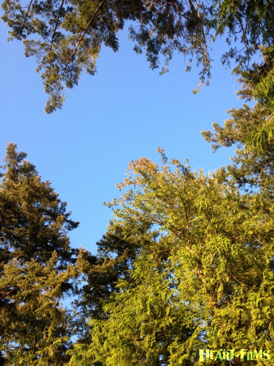 b130514_GreenBlue